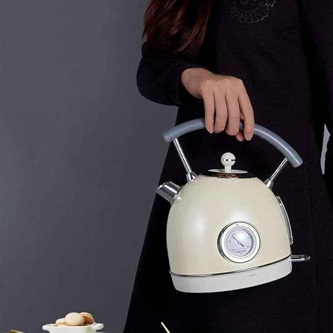 Electric Kettle with Thermometer