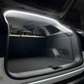 Trunk Lighting Ambient Light